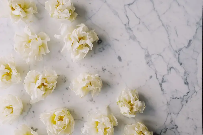 Delicate white flowers artfully arranged on a textured marble background, showcasing natural elegance.