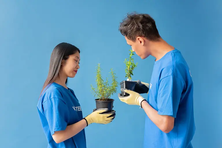 Two volunteers nurturing potted plants indoors, promoting environmental conservation.