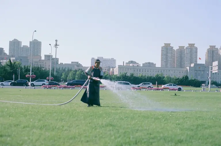 Person waters grass with hose in urban park.