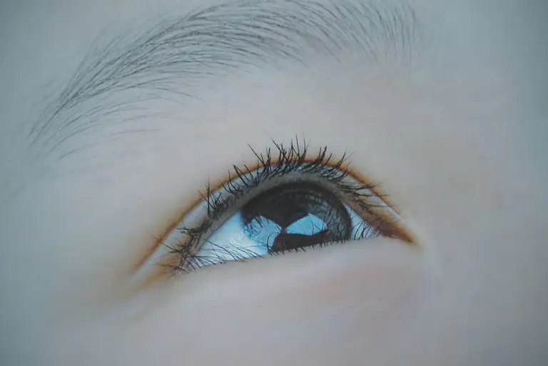Detailed macro shot of a human eye showcasing eyelashes and reflection.