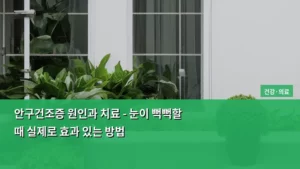 안구건조증 원인과 치료 – 눈이 뻑뻑할 때 실제로 효과 있는 방법