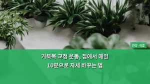 거북목 교정 운동, 집에서 매일 10분으로 자세 바꾸는 법