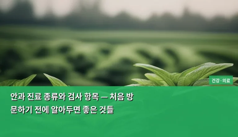 안과 진료 종류와 검사 항목 — 처음 방문하기 전에 알아두면 좋은 것들