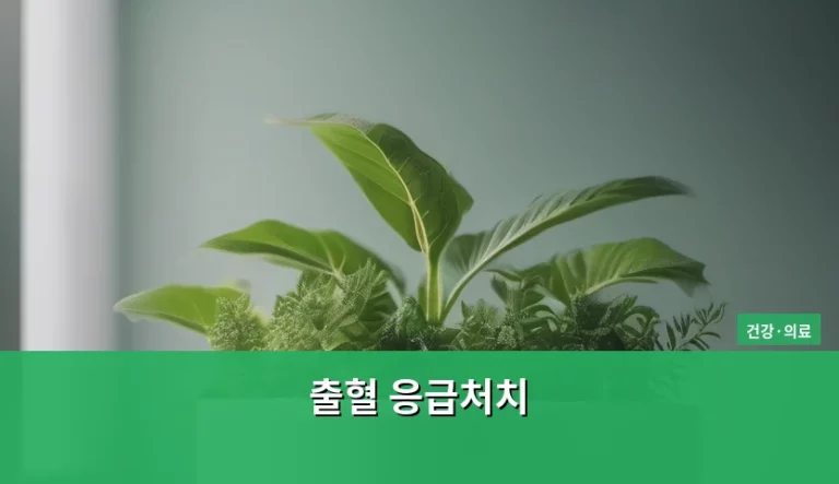 갑작스러운 사고 현장에서 당황하지 않는 출혈 응급처치 가이드