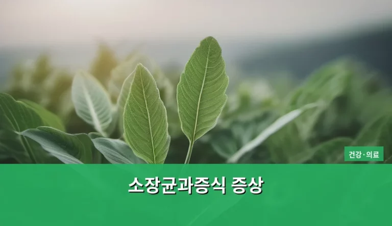 소장균과증식 증상 원인 및 관리 방법 정리