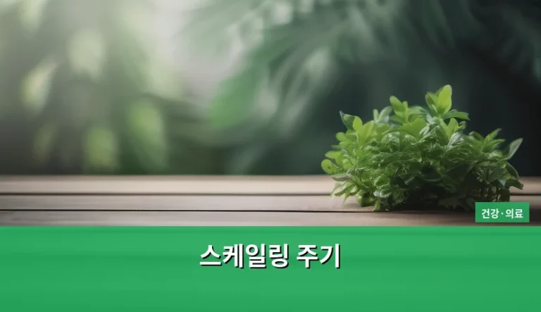 스케일링 주기 결정과 올바른 관리 방법