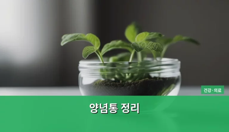 주방 위생과 건강을 지키는 양념통 정리 방법