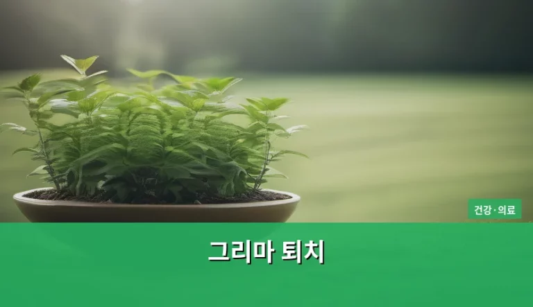 집안의 불청객 그리마 퇴치 방법과 예방 수칙
