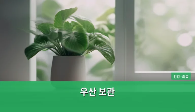 습기 섞인 우산 보관 방식과 호흡기 건강 관계