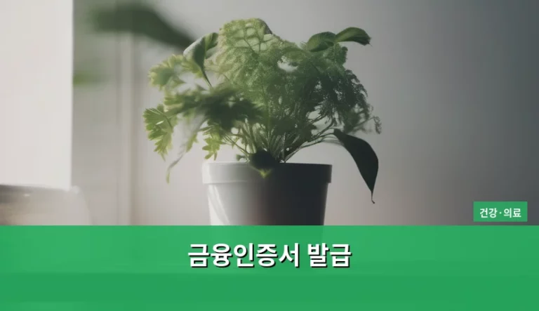 금융인증서 발급 방법 및 의료비 결제 활용 가이드