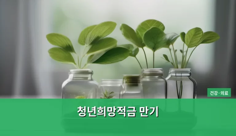 청년희망적금 만기 자금 활용 및 재테크 전략