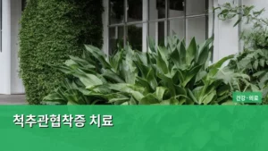 만성적인 다리 저림, 척추관협착증 치료로 편안함을 되찾는 방법