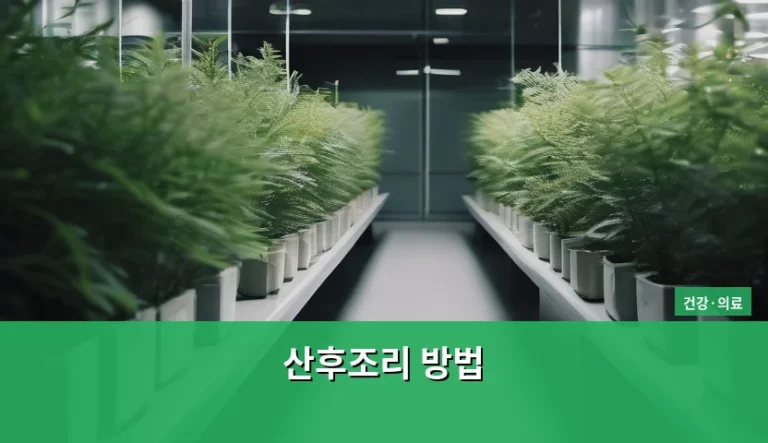 건강한 회복을 위한 올바른 산후조리 방법 가이드