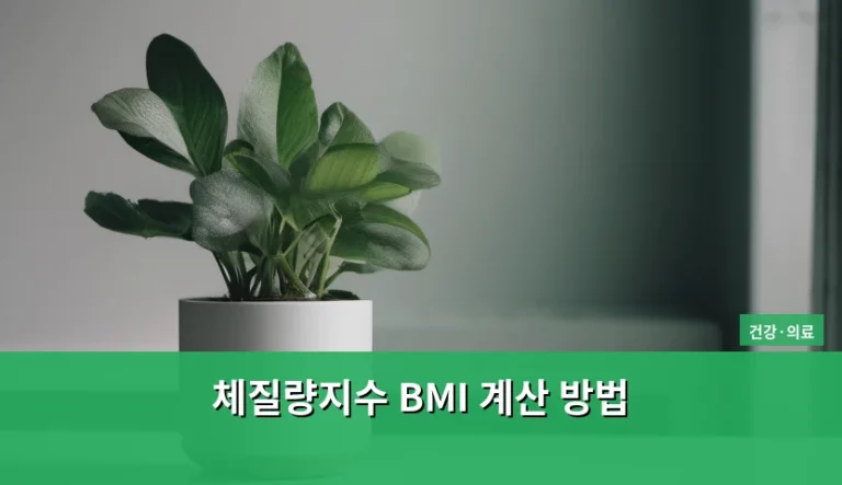 체질량지수 BMI 계산 방법 및 비만도 판정 기준 안내