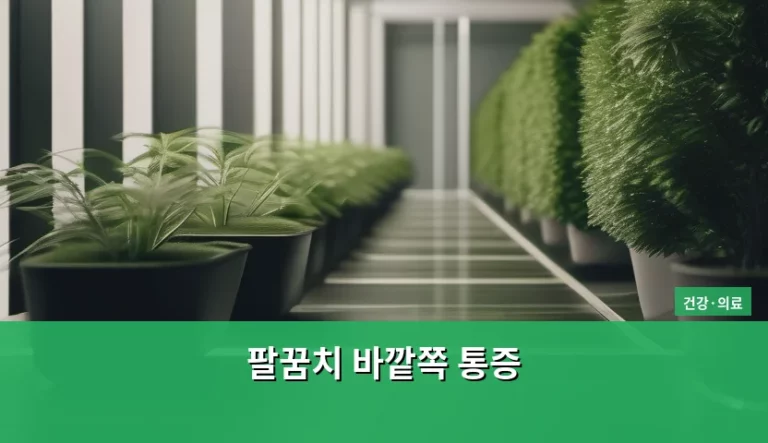 팔꿈치 바깥쪽 통증 원인과 관리 방법 정리