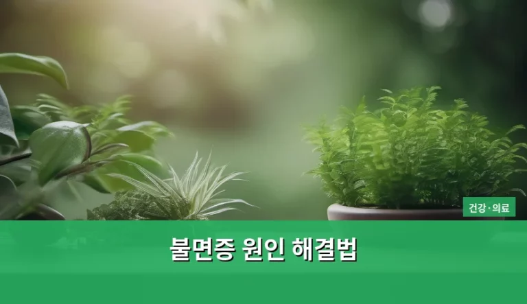 불면증 원인 해결법 및 숙면을 위한 생활 수칙 가이드