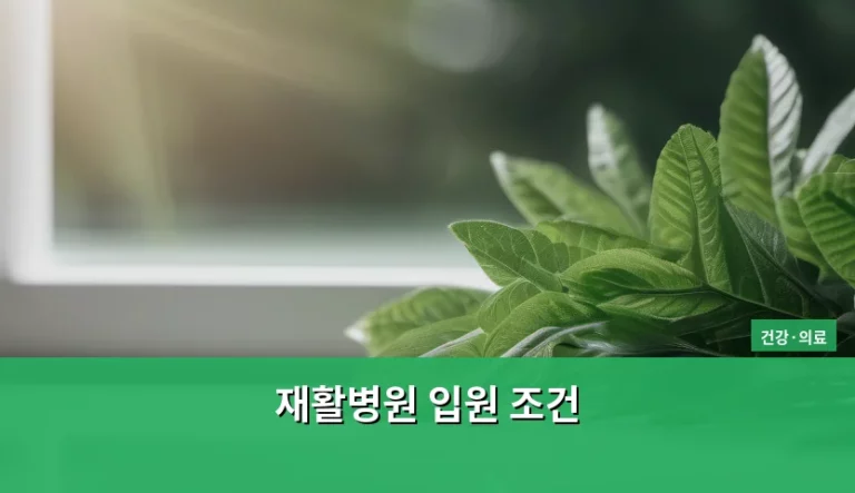 재활병원 입원 조건 확인 및 준비 가이드