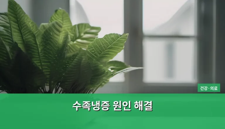 수족냉증 원인 해결 방법 및 관리 가이드