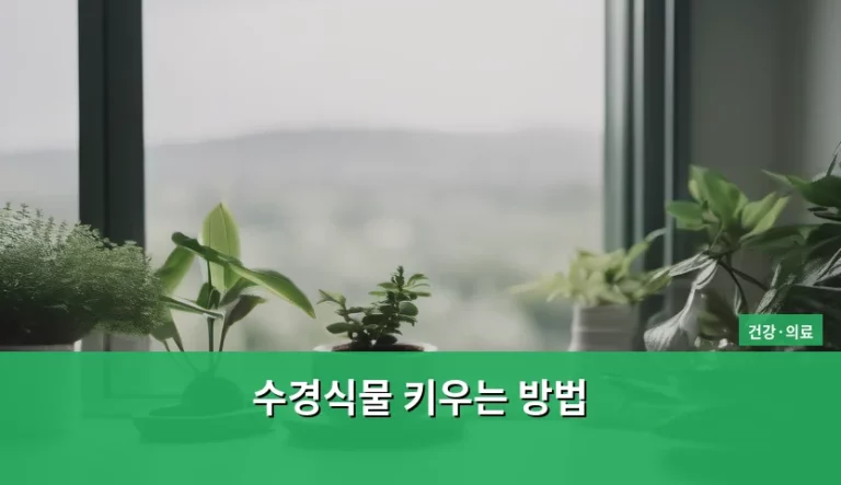초보자를 위한 수경식물 키우는 방법 가이드