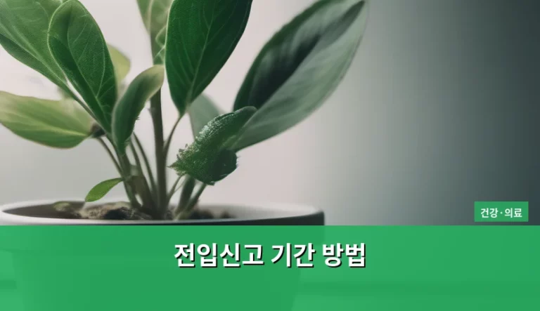 전입신고 기간 방법 및 주의사항 정리