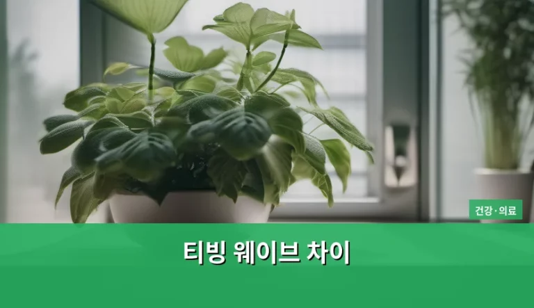 티빙 웨이브 차이 비교 및 콘텐츠 선택 가이드