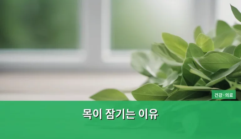 목이 잠기는 이유와 목소리 관리 방법 정리