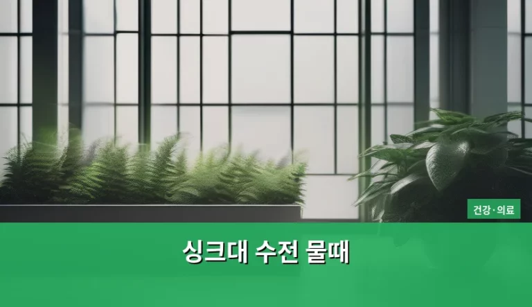 싱크대 수전 물때 제거와 위생 관리 방법