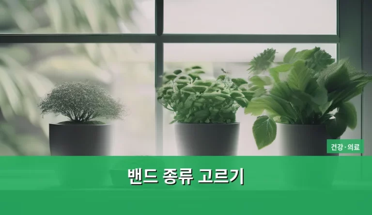 상처 부위와 증상에 따른 밴드 종류 고르기 가이드