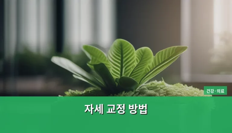 올바른 자세 교정 방법 및 생활 습관 가이드