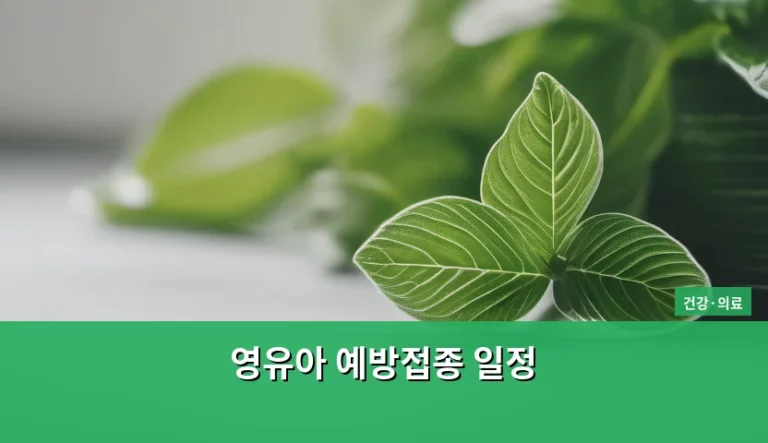 영유아 예방접종 일정 시기별 정리와 주의사항