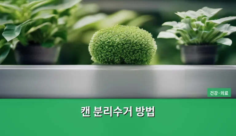 올바른 캔 분리수거 방법과 재활용 주의사항