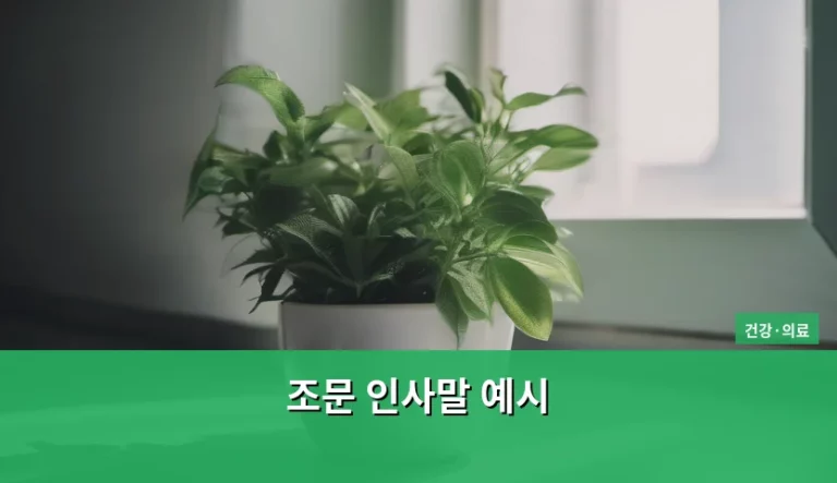 상황별 조문 인사말 예시 및 예절 가이드