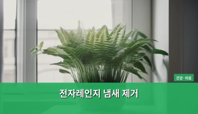 전자레인지 냄새 제거 방법과 천연 재료 활용법