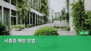 건강한 습관으로 실천하는 뇌졸중 예방 방법 총정리