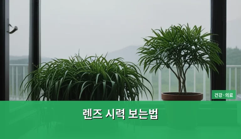 렌즈 시력 보는법과 처방전 수치 해석 가이드