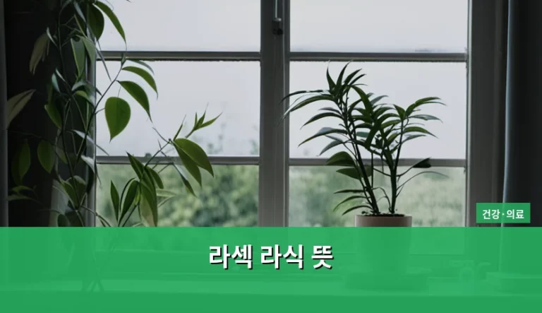 라섹 라식 뜻 차이점과 나에게 맞는 수술 선택법