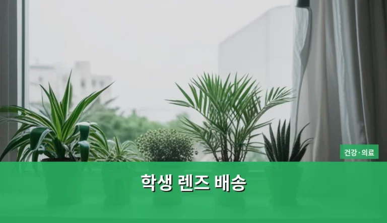 학생 렌즈 배송 이용 방법과 주의사항 가이드