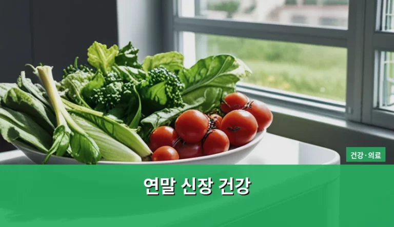 연말 신장 건강 관리를 위한 생활 습관과 주의점