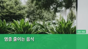 염증 줄이는 음식으로 면역력 높이는 방법 알아보기