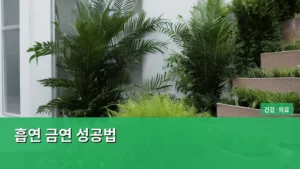 완벽한 흡연 금연 성공법: 나를 되찾는 여정 가이드