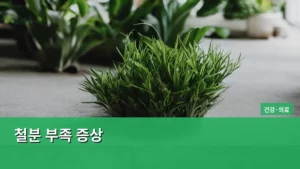 철분 부족 증상, 우리 몸이 보내는 경고 신호를 놓치지 마라