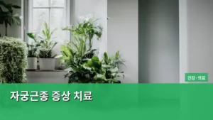 자궁근종 증상부터 최신 치료법까지, 제대로 알아보기