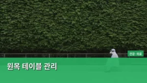 원목 테이블 관리, 오래도록 새것처럼 사용하는 비결 파헤치기