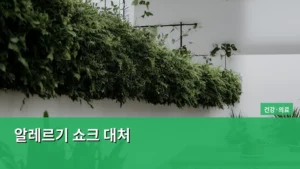 응급 상황, 알레르기 쇼크 대처법, 절대 놓치지 말아야 할 생명 지식