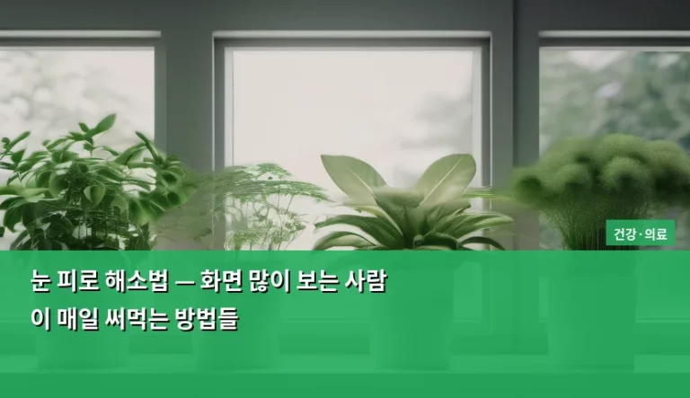 눈 피로 해소법 — 화면 많이 보는 사람이 매일 써먹는 방법들