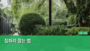 싱크대 근처 집파리 잡는 법, 완벽 가이드로 여름철 해방된다