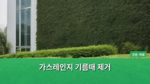 가스레인지 기름때 제거, 주방 청결의 마법 같은 비법 공개