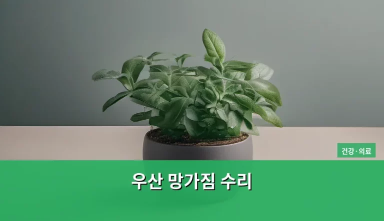 갑작스러운 폭우에 당황스러운 우산 망가짐 수리 방법과 관리 팁