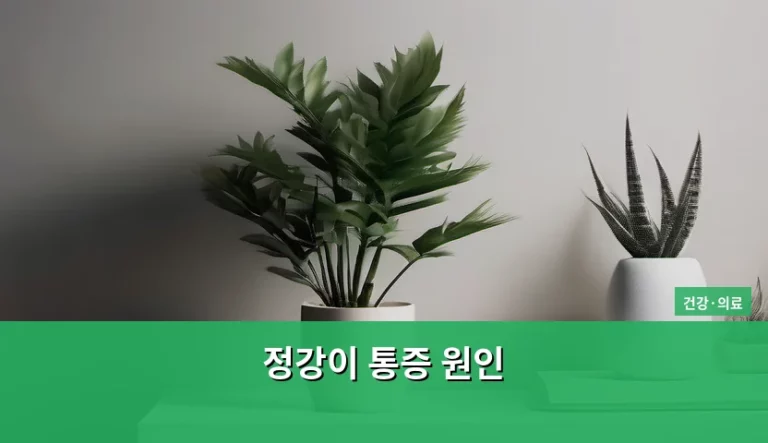 정강이 통증 원인, 단순한 근육통일까 아니면 질환일까?