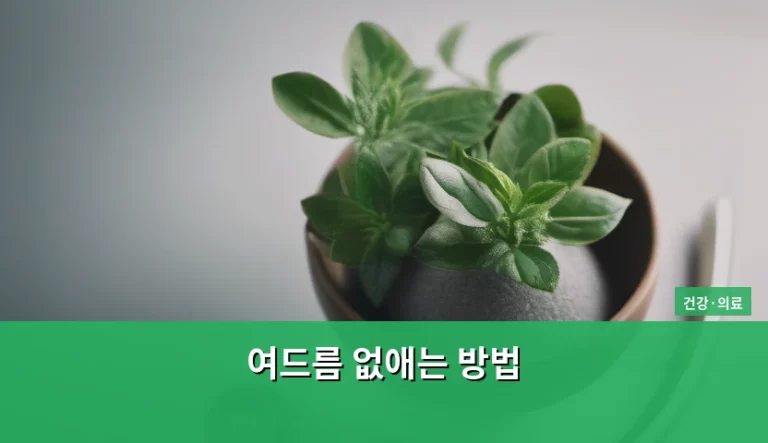 여드름 없애는 방법과 피부 관리 가이드